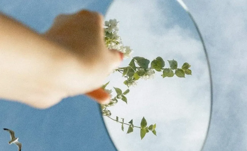 Între laudă și feedback