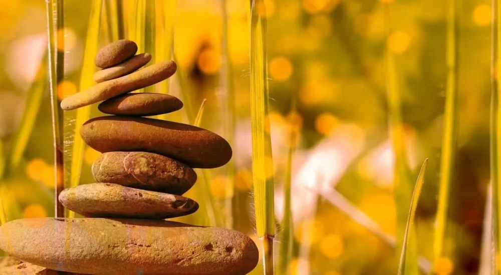 "Jurământul socratic" al profesorului