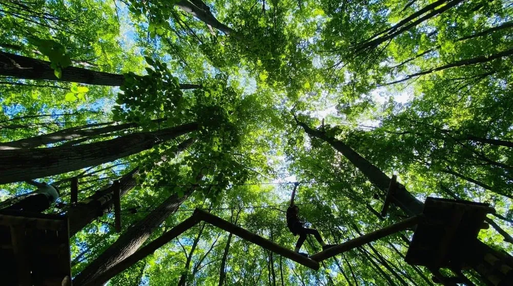 Și-ul de unire și uimire