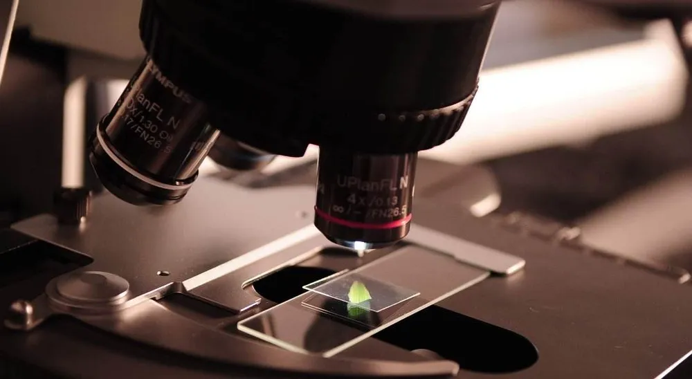 John Hattie: De ce strategiile de predare nu te transformă (automat) într-un profesor expert