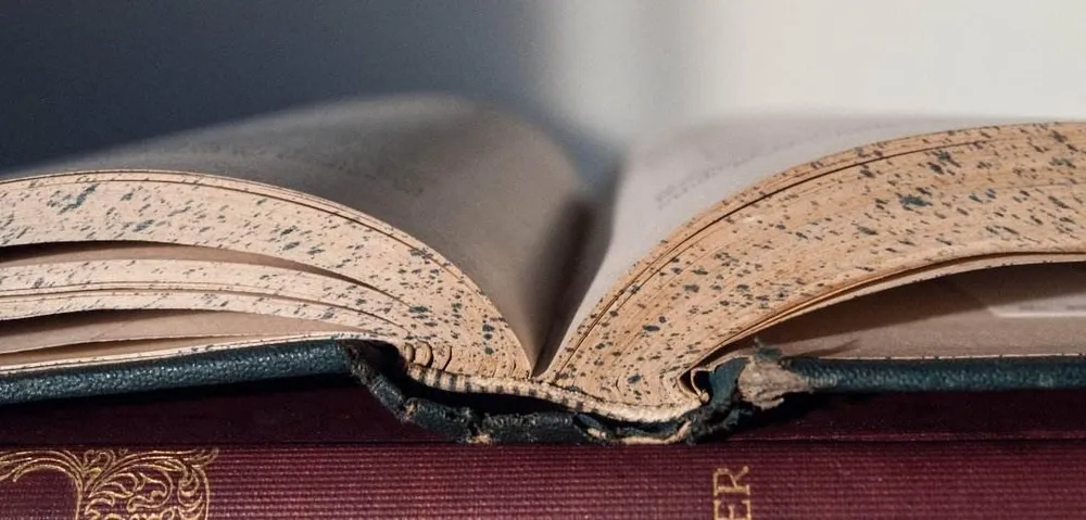 Cel mai mult contează ca învățarea să se producă (Eduskop live #1 și #2)