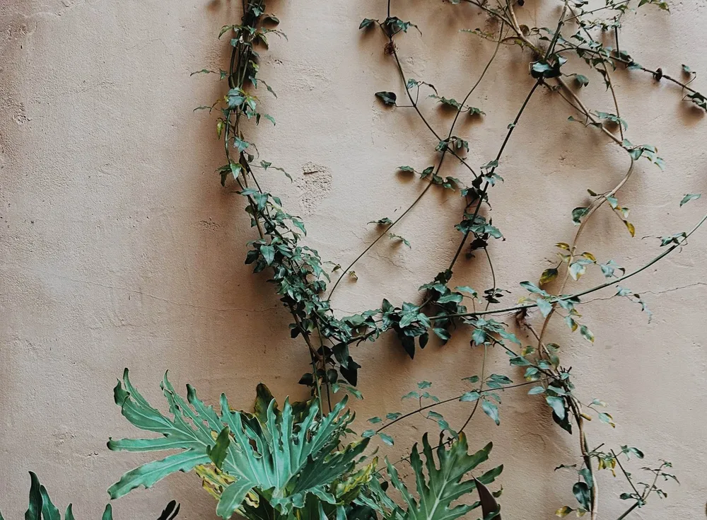 Despre rutine în educație (5)