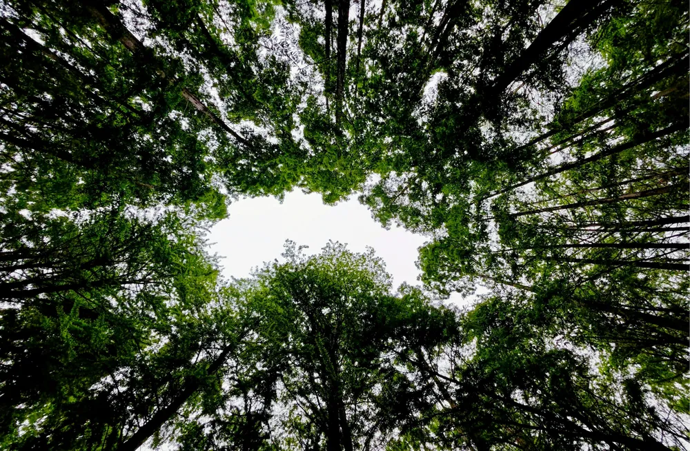 Autoeficacitatea profesorului și motivația elevilor – repere practice pentru învățare