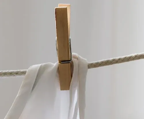 Efectul de ginkgo biloba al reformelor în educație