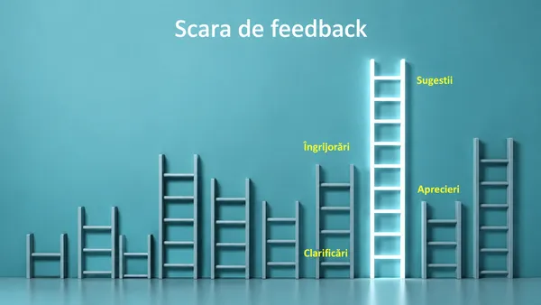 Despre importanţa feedbackului și nu numai.